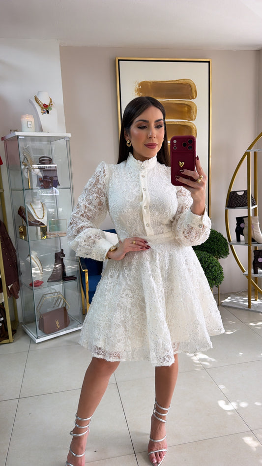 Floral Embroidered Sequins Dress