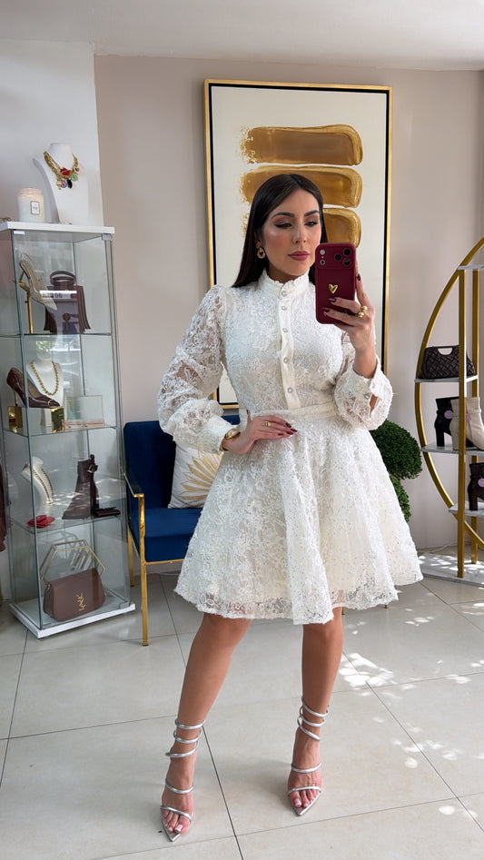 Floral Embroidered Sequins Dress