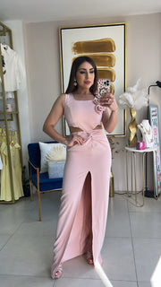 Blush Long Dress