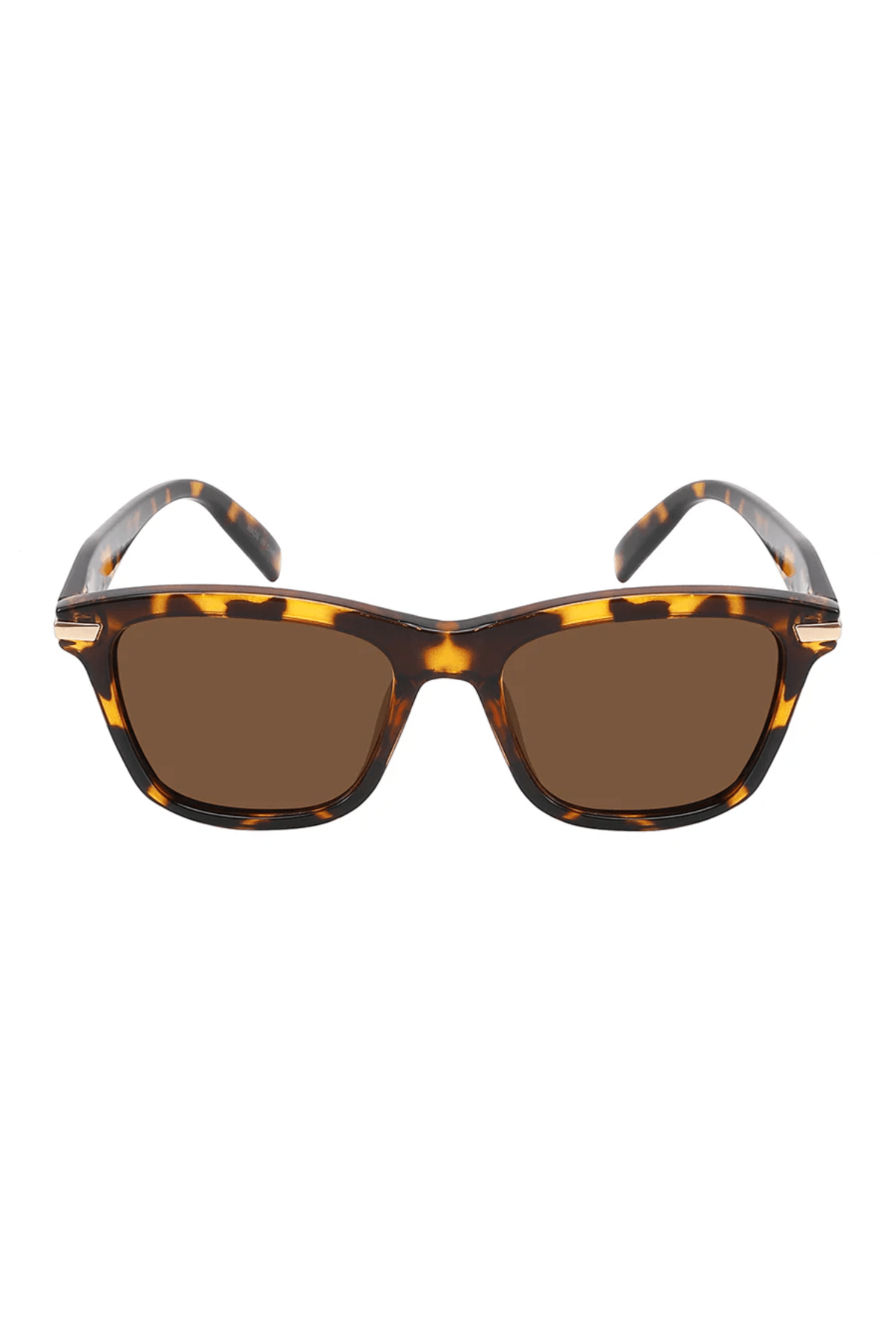 Collin Polarized